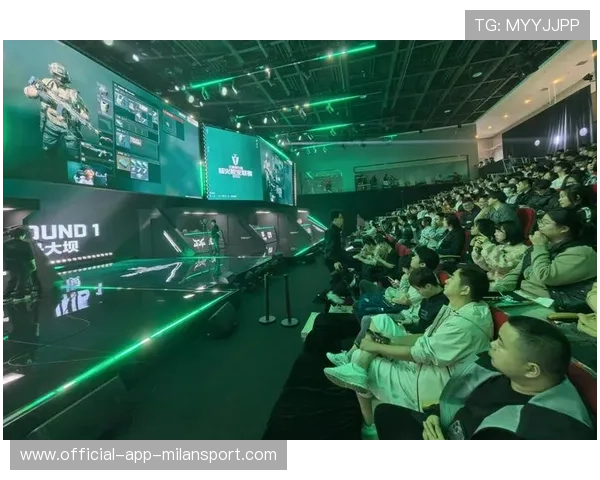 职业联赛的观众参与深度